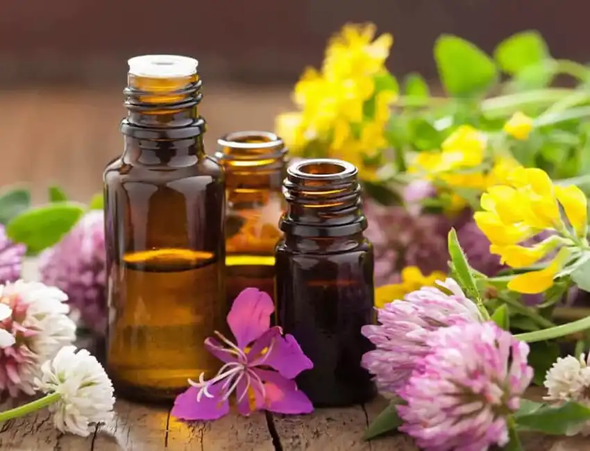 Un soutien en douceur avec les fleurs de Bach